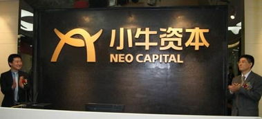 深圳小牛資本地址在哪里