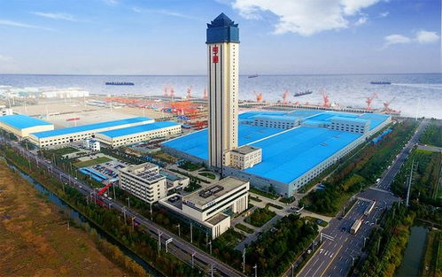 八大光企業(yè)績(jī)出爐 高光與挑戰(zhàn)